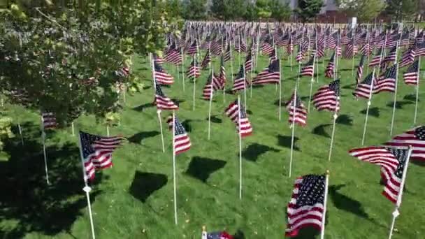 Vue Aérienne Montante Des Drapeaux Américains Agitant Vent Alors Ils — Video