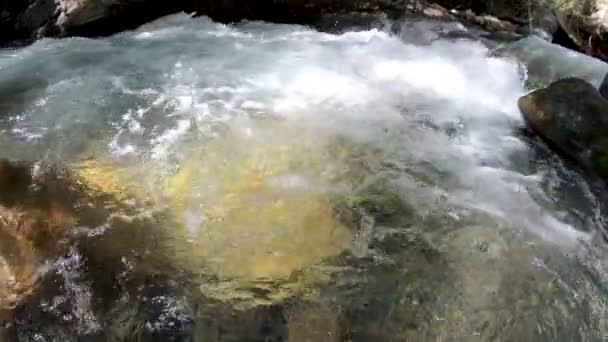 Água Que Flui Sobre Rochas Que Brilham Fundo Leito Rio — Vídeo de Stock