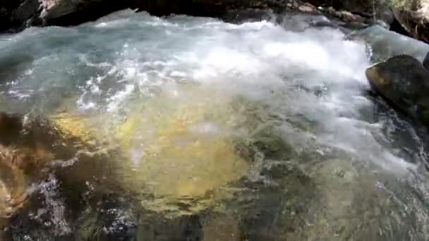L'eau qui coule sur les rochers luisant au fond du lit de la rivière avec de l'eau cristalline dans les montagnes de l'Utah .