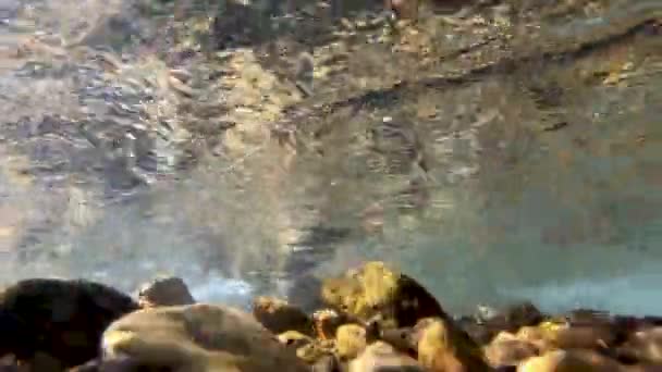 Vista Subacquea Del Fiume Che Scorre Riflettendo Rocce Sotto Letto — Video Stock