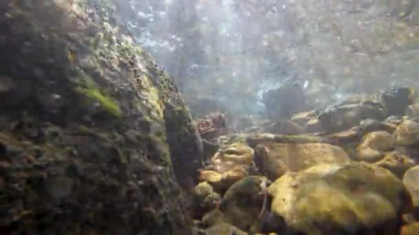 在河床上的水面上 阳光穿过河流时 水下的景色闪闪发光 — 图库视频影像