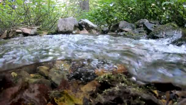 Água Que Flui Jusante Olhando Acima Abaixo Água Riacho Montanha — Vídeo de Stock
