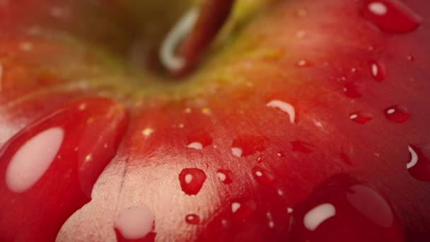 Rött Äpple Makro Som Täckt Vattendroppar När Det Långsamt Vänder — Stockvideo