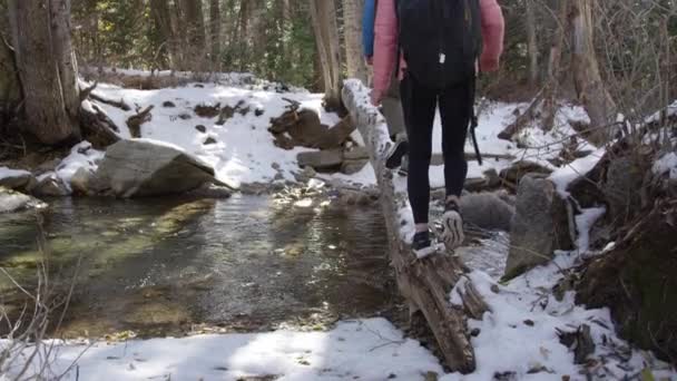 Caminhadas Casal Tronco Cobertas Neve Sobre Rio Como Eles Equilibrar — Vídeo de Stock