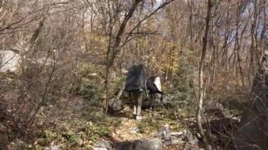 Yürüyüşçüler ormanda kayboluyor. Kayaların yanından geçen patikada..