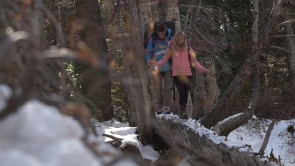 冬季在森林中徒步穿越白雪覆盖的圆木过河时的平衡 — 图库视频影像
