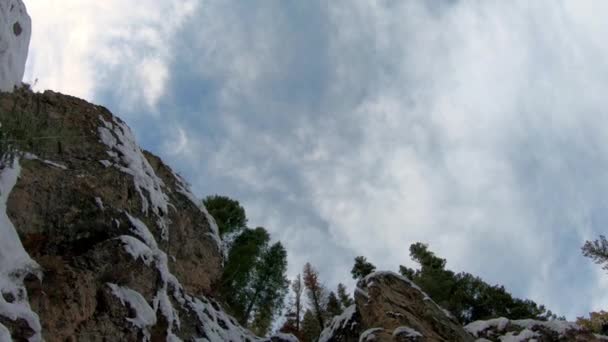 Volando Alto Largo Del Acantilado Con Árboles Cima Durante Invierno — Vídeo de stock