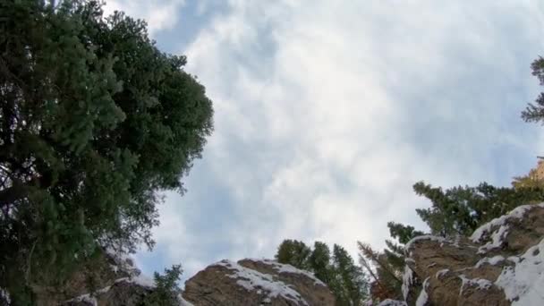 冬には崖の近くの木を飛んで空を見上げます — ストック動画