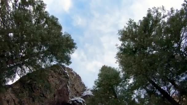 Geradeaus Durch Kiefernwald Gen Himmel Fliegen Winter Utah — Stockvideo