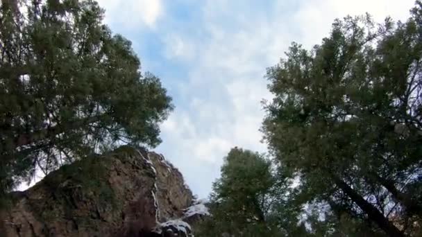 Volando Directamente Través Del Bosque Pinos Hacia Cielo Durante Invierno — Vídeo de stock