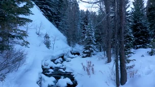 Volando Sobre Pequeño Río Que Fluye Través Nieve Profunda Invierno — Vídeos de Stock