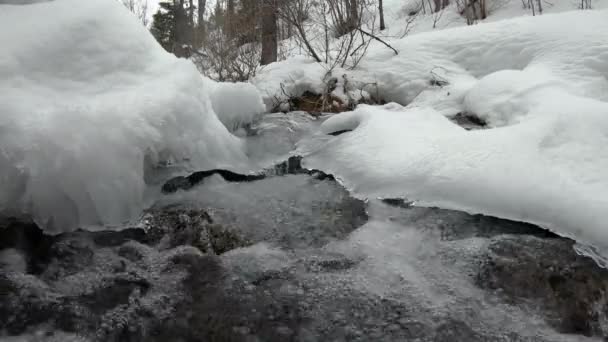 Nieve Profunda Que Rodea Río Invierno Mientras Fluye Debajo Del — Vídeos de Stock