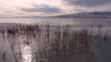 Utah Gölü 'nün kışın kıyı şeridi üzerinde uçarken göl donuyor ve Dağ' a doğru bakıyor..