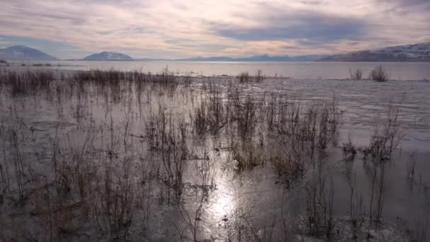 Voler Lentement Dessus Des Bâtons Dans Lac Gelé Pendant Hiver — Video