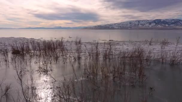 Озеро Юта Зимой Летит Над Береговой Линией Озеро Замерзает Глядя — стоковое видео