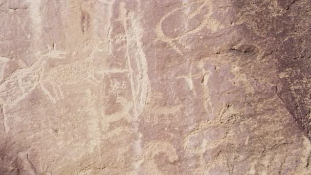 Nine Mile Kanyonu Nun Utah Çölündeki Kayalıklardaki Petroglyph Oymalarının Yakın — Stok video