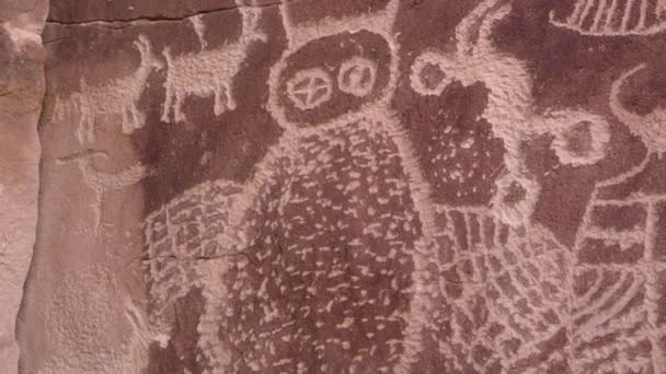 ユタ砂漠のナインマイルキャニオンの岩に刻まれたフクロウのペトログリフをネイティブアメリカ人から間近で見ることができます — ストック動画