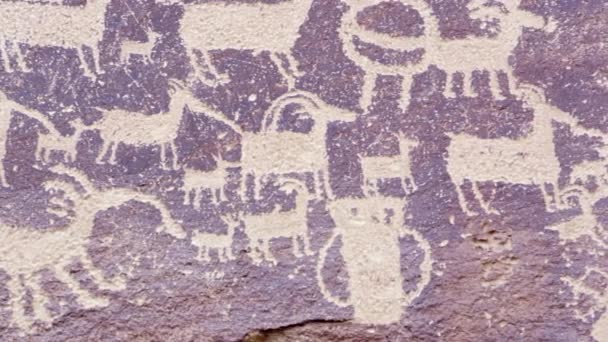 九里峡谷 中的伟大狩猎面板的近景 它可以看到刻在峡谷墙上的大角羊的石刻 — 图库视频影像