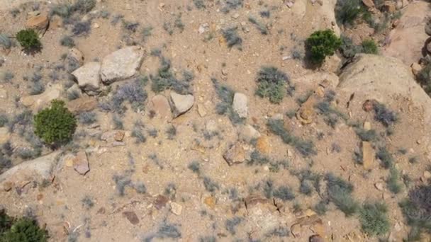 Вид Сверху Двух Женщин Сидящих Краю Утёса Смотрящих Пустыню Внизу — стоковое видео