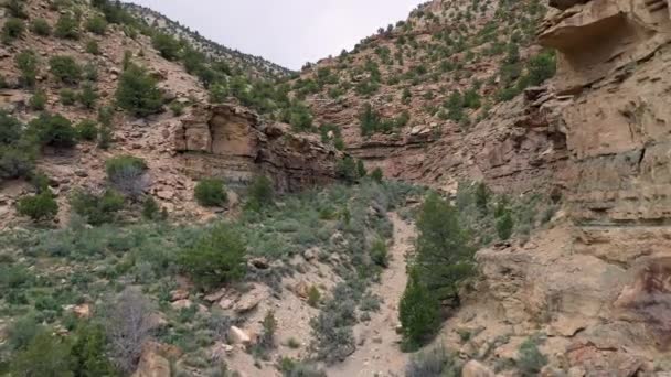 Aerial View Flying Dry Desert Canyon Utah Walls Start Get — Stock Video