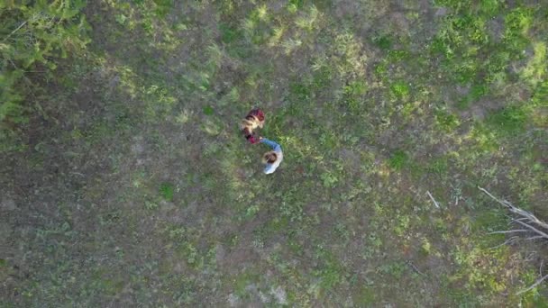 Levantando Vista Aérea Dos Chicas Medio Bosque Mientras Abofetean Las — Vídeo de stock