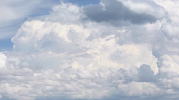 蒙大拿州天空中飘扬的蓬松的云彩的时间流逝 — 图库视频影像