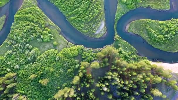 Steigende Luftaufnahme Eines Sich Durch Grüne Wiesen Schlängelnden Flusses Der — Stockvideo