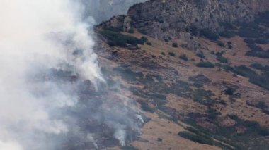 30 Temmuz 2019 'da Utah ilçesindeki dağda yangın manzarası.