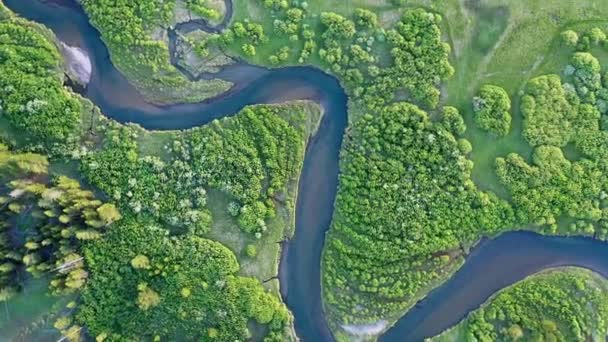 从蒙大拿州的空中俯瞰 麦迪逊河南叉蜿蜒穿过绿色的草地 — 图库视频影像