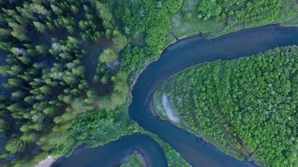 Πάνω Προς Κάτω Άποψη Του Ποταμού Τυλίγοντας Μέσα Από Πράσινο — Αρχείο Βίντεο