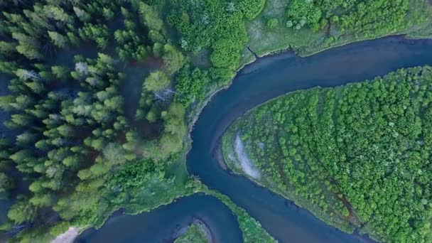 Vista Dall Alto Verso Basso Del Fiume Che Snoda Attraverso — Video Stock