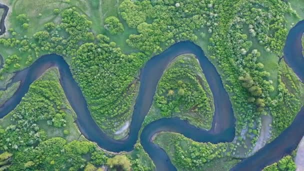 南叉麦迪逊河空中全景从上往下看 第2部分 — 图库视频影像