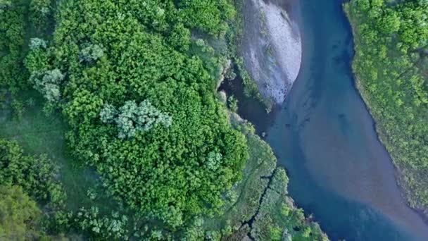 Sorgendo Sopra Colorato Fiume Che Snoda Attraverso Foresta Verde Vicino — Video Stock