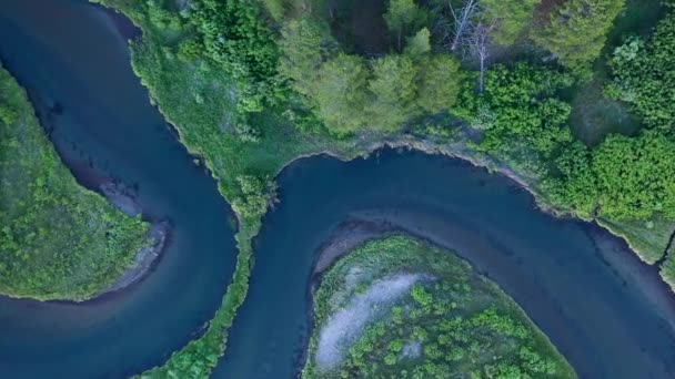 Nehrin Yukarıdan Aşağı Manzarası Yeşil Çayır Boyunca Kıvrılır Yavaşça Yere — Stok video