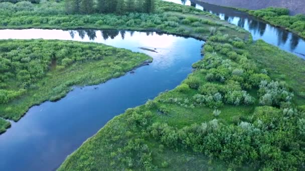 蒙大拿州绿地上蜿蜒曲折的河流 空中俯瞰的景象 — 图库视频影像