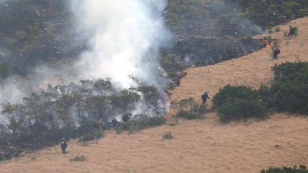 Πυροσβέστες Πεζοπορία Μέχρι Την Πλευρά Του Βουνού Κατά Διάρκεια Wildfire — Αρχείο Βίντεο