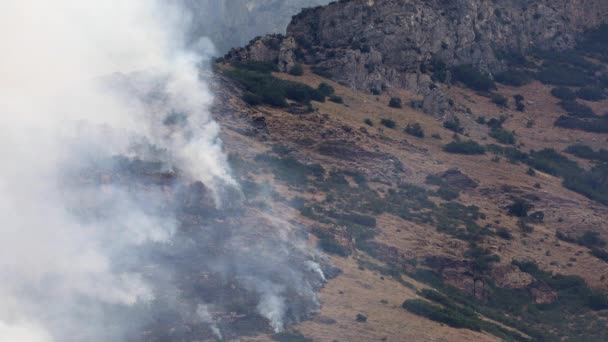 Vista Degli Incendi Boschivi Montagna Nella Contea Dello Utah Iniziata — Video Stock