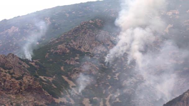 Vue Panoramique Sur Les Feux Forêt Brûlant Sur Montagne Dans — Video