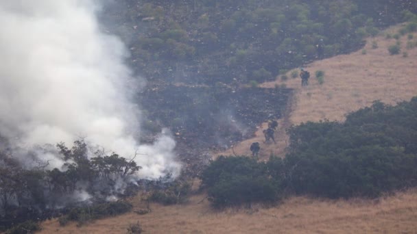 De la fumée s'échappe des feux de forêt alors que les pompiers font un coupe-feu pour la maîtriser. .