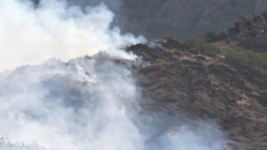 2019 yazında Utah 'taki kayalık kayalıklarda yanan çalıların yakınlaştırılmış görüntüsü..