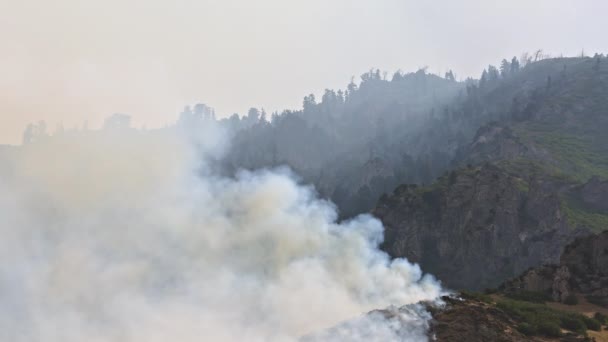 飛行機は山を燃やす上で難燃性をダンプする場所を見つけるために山火事の上を飛ぶ — ストック動画