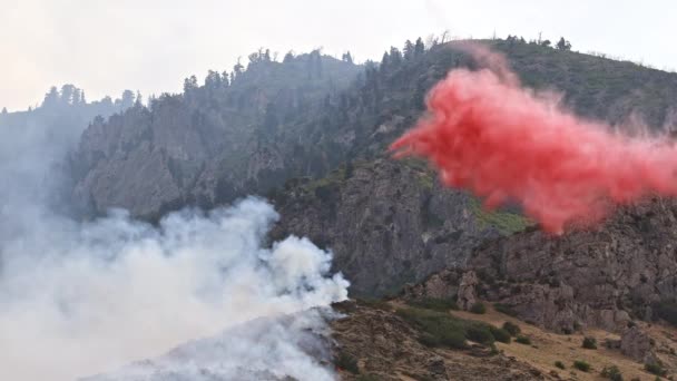 Pequeño Avión Que Deja Caer Fuego Retardante Incendio Forestal Ladera — Vídeo de stock