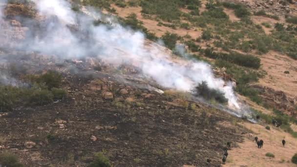 Bomberos Apagando Incendios Forestales Montaña Utah Mientras Suben Colina — Vídeo de stock
