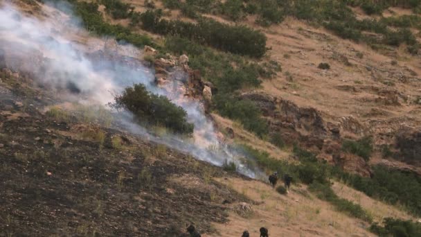 Bomberos Trabajando Incendios Forestales Ayudando Contenerlo Extenderse Más Ladera Montaña — Vídeos de Stock