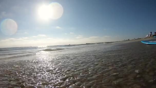 Junger Mann Läuft Strand Und Springt Auf Skimboard Die Wellen — Stockvideo