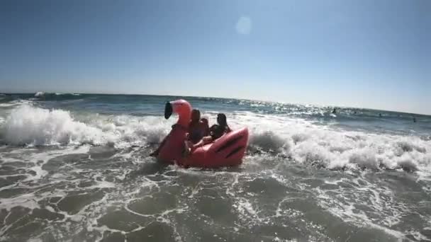 两名年轻女子在海滩上乘风破浪把火烈鸟推来推去 — 图库视频影像