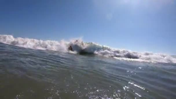 Νεαρές Γυναίκες Διασκεδάζουν Κάνοντας Boogie Boarding Στην Παραλία Καθώς Καβαλάνε — Αρχείο Βίντεο