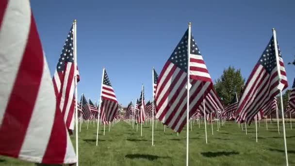 Caminhando Pela Linha Bandeiras Americanas Exibição Parque Memorial Dia Ensolarado — Vídeo de Stock