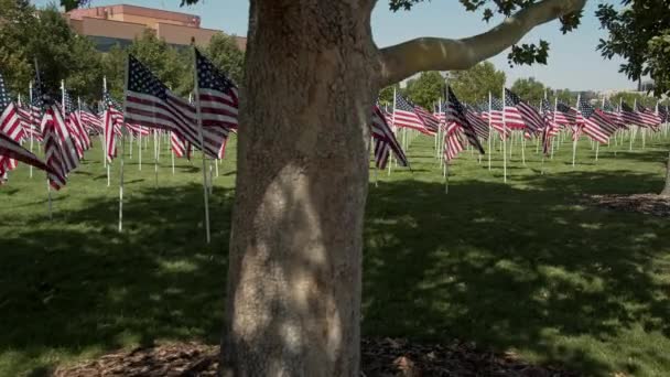 11のために展示されているアメリカ国旗の記念公園を明らかにする過去の木を歩く — ストック動画