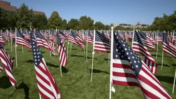 11のためにユタ州の記念公園で風に吹かれているアメリカ国旗の列を歩く — ストック動画